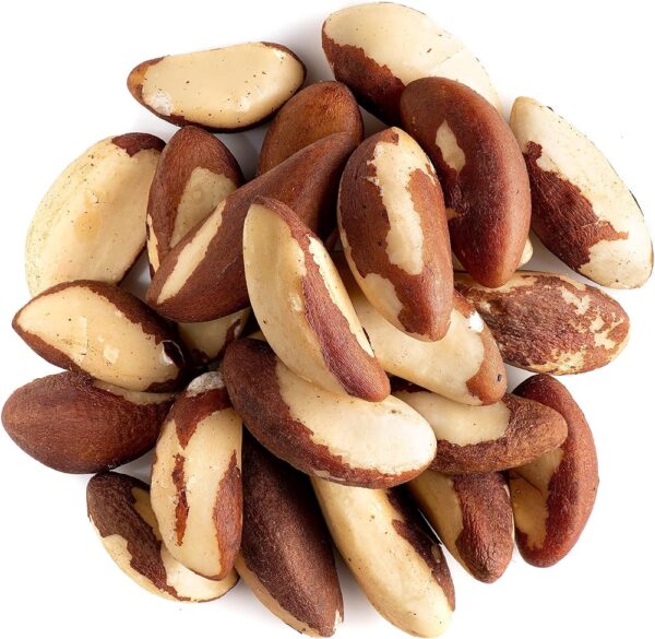 Brazil Nut