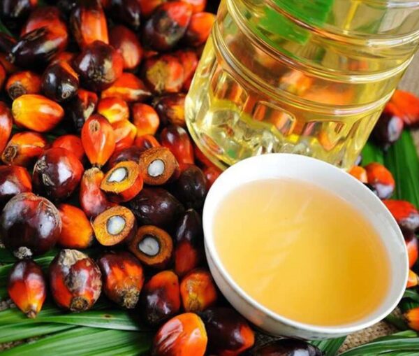 Palm Kernel Oil