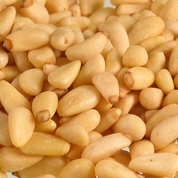 Pine Nut